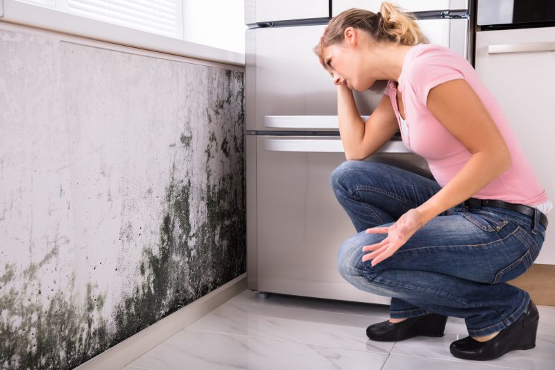 Black Mold Removal in Palm Beach County, FL