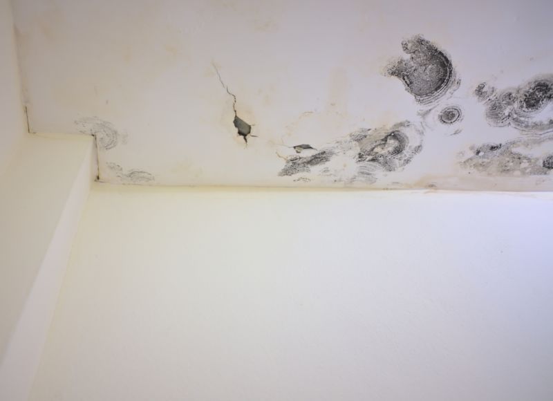 Ceiling Mold Removal in Jupiter, FL
