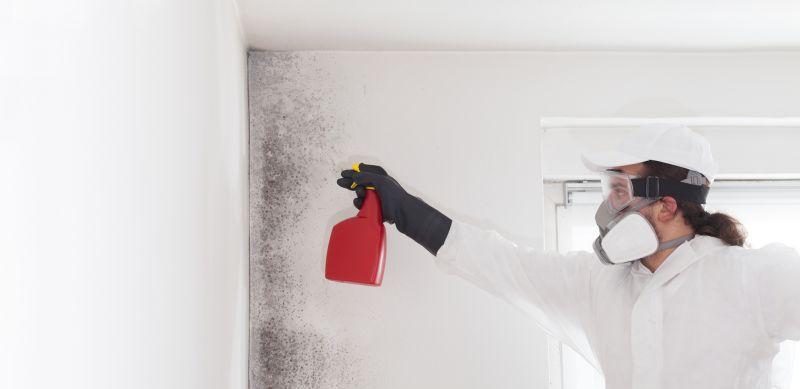 Garage Mold Remediation in Jupiter, FL