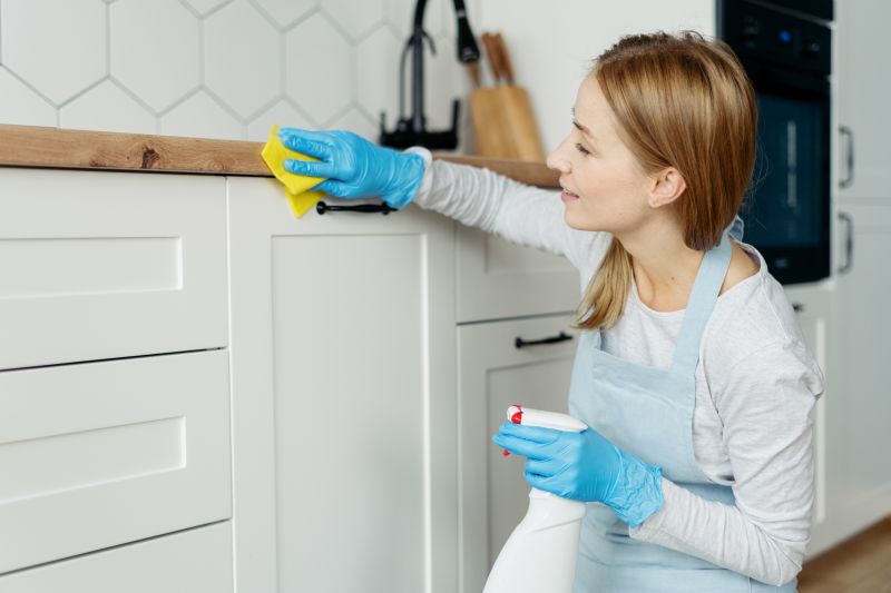 Kitchen Cleaning Service in Frisco, TX