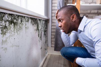 Mold Detection in Boynton Beach, FL