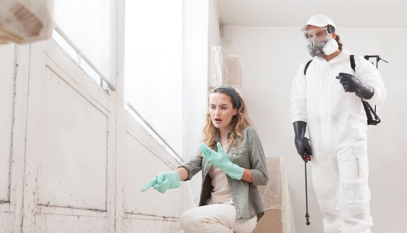Mold Mitigation Service in Boca Raton, FL