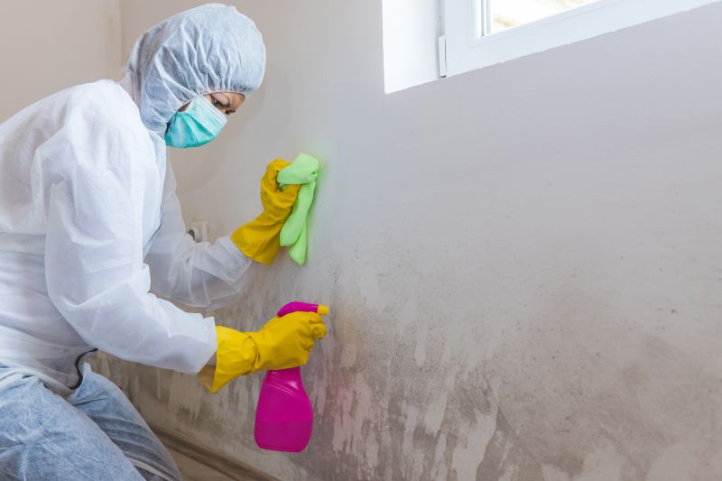 Air Duct Mold Removal in Dallas, TX