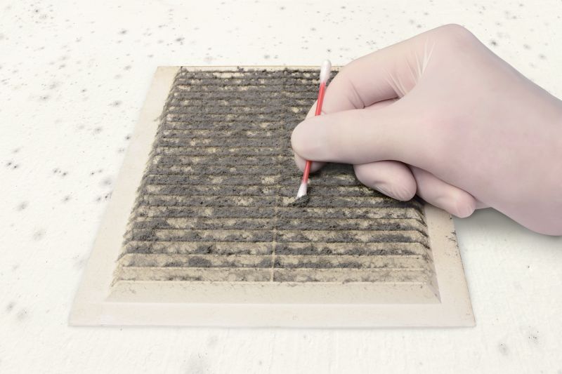 Air Duct Mold Removal in Boca Raton, FL