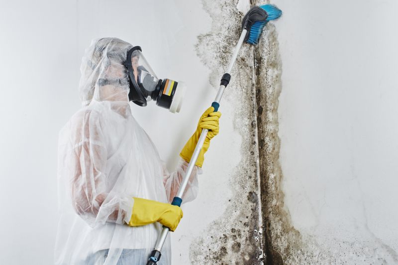 Attic Mold Removal in Bergen County, NJ