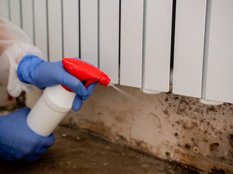 Basement Mold Remediation in Fort Lauderdale, FL