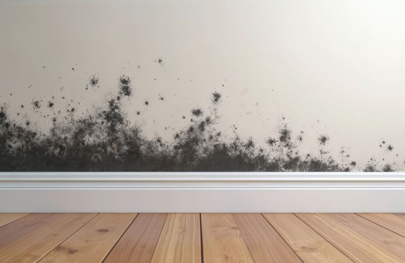 Basement Mold Removal in Fort Lauderdale, FL
