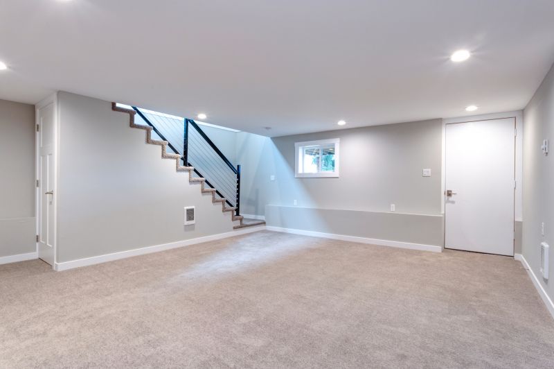 Basement Vacuuming in Shreveport, LA