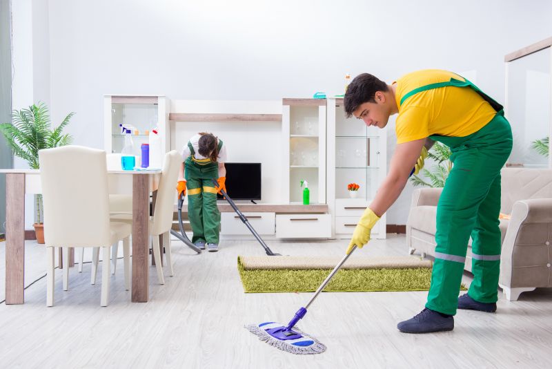 Basement Vacuuming in Redmond, WA