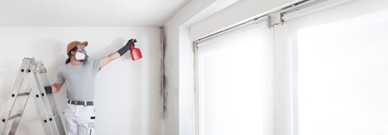 Black Mold Remediation in Jupiter, FL