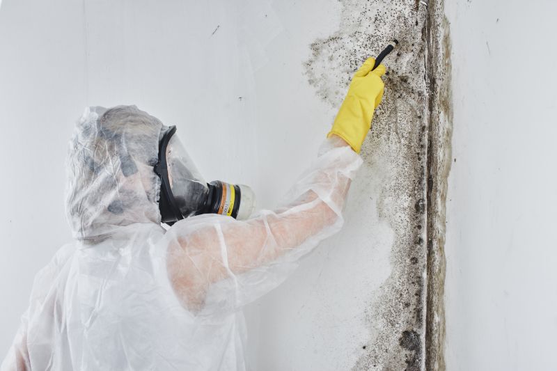 Black Mold Removal in Denton, TX