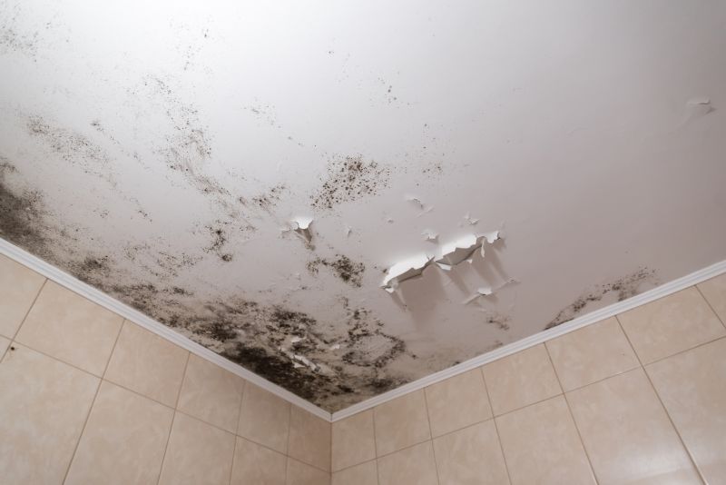 Ceiling Mold Removal in Fort Worth, TX