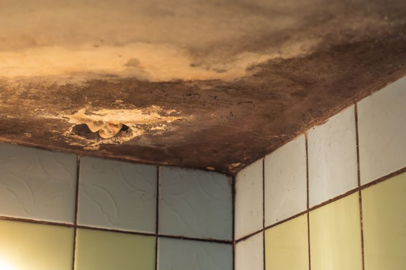 Ceiling Mold Removal in Fort Lauderdale, FL