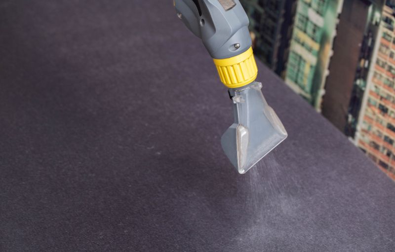 Couch Cleaning Service in Sanford, FL