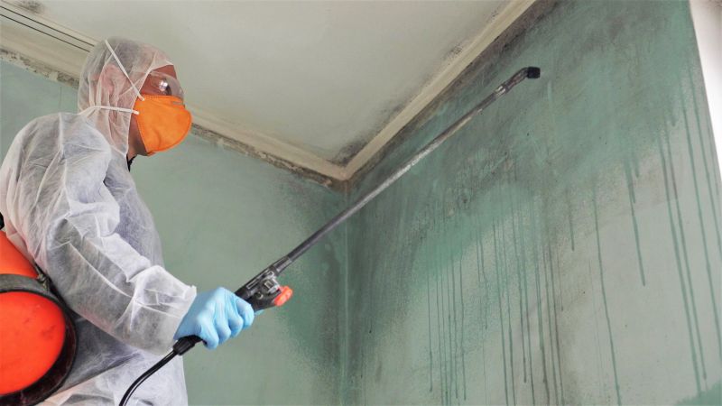 Crawl Space Mold Removal in Fort Worth, TX