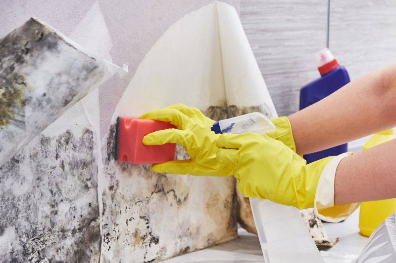 Crawl Space Mold Removal in Fort Worth, TX