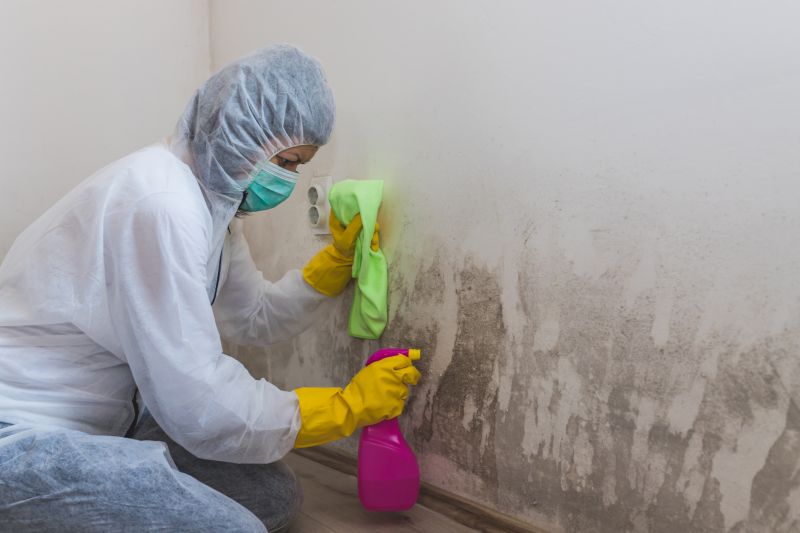 Crawl Space Mold Removal in West Palm Beach, FL