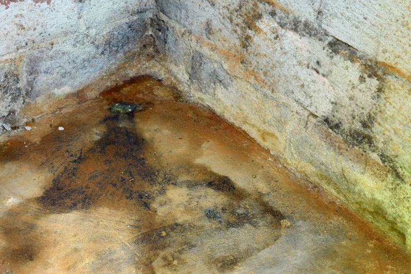 Crawlspace Mold Remediation in Fort Worth, TX