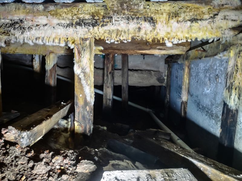 Crawlspace Mold Remediation in West Palm Beach, FL