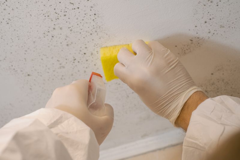 Crawlspace Mold Remediation in Fort Lauderdale, FL