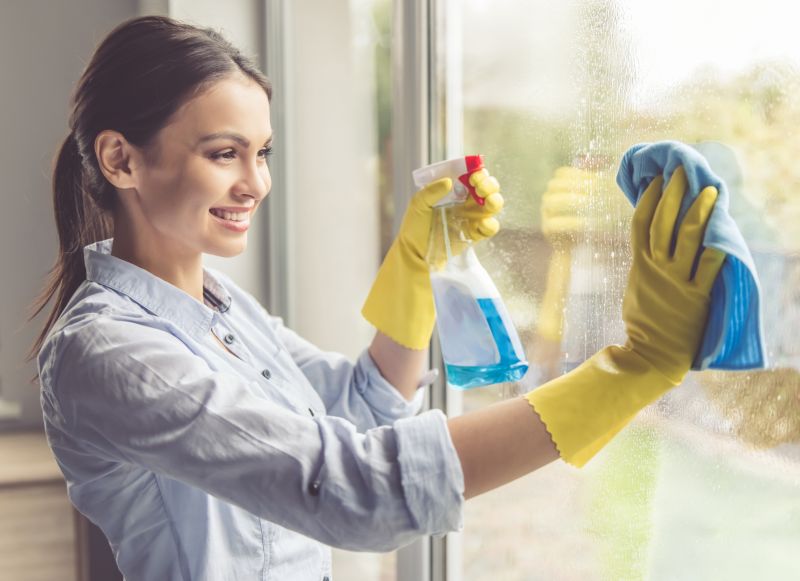 Kitchen Cleaning in Renton, WA