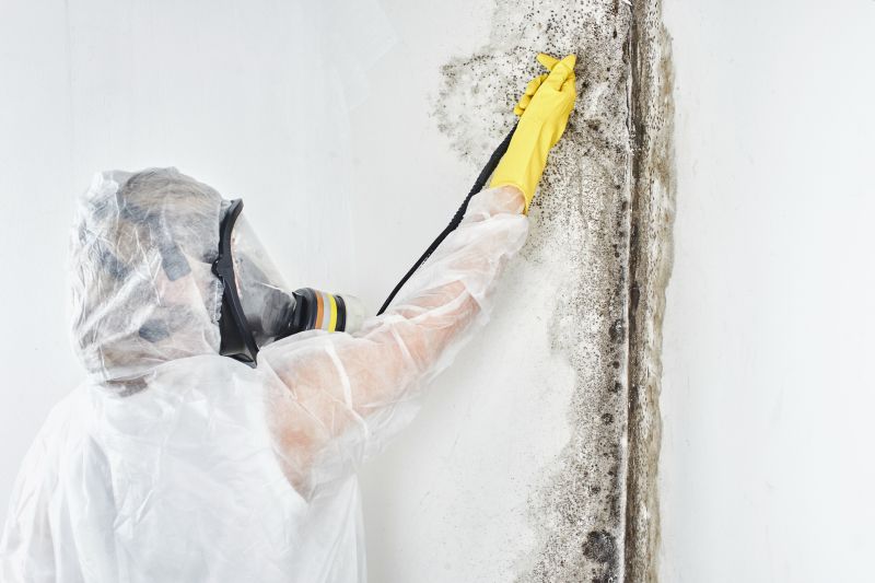 Mold Abatement in Boynton Beach, FL