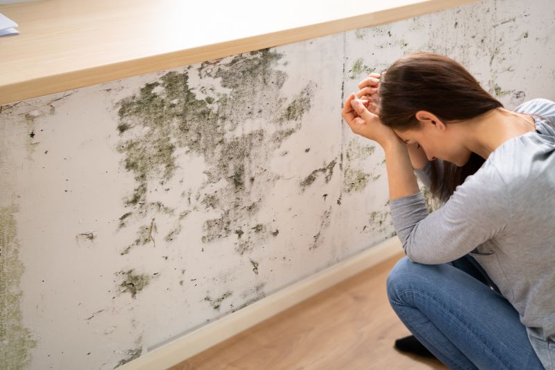 Mold Abatement in Arlington, TX
