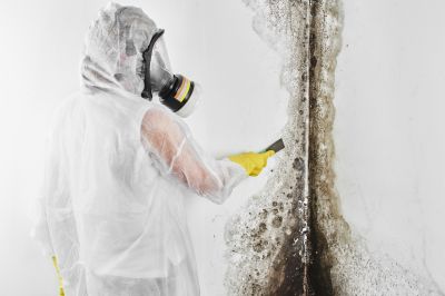 Mold Abatement Service in Frisco, TX