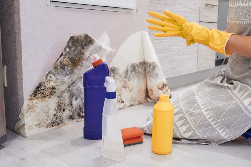 Mold Abatement Service in Fort Lauderdale, FL
