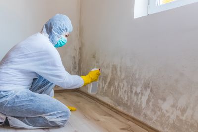 Mold Abatement Service in Dallas, TX