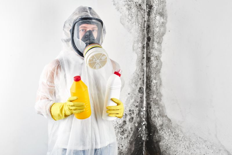 Mold Cleanup Service in Bergen County, NJ