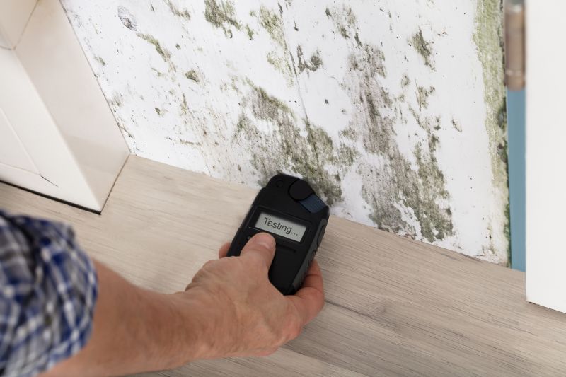 Mold Detection in Denton, TX