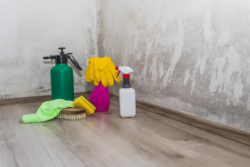 Mold Mitigation Service in Broward County, FL