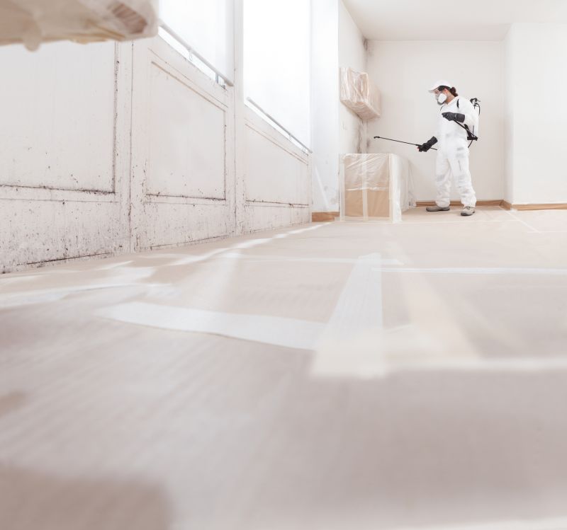 Mold Mitigation Service in Frisco, TX