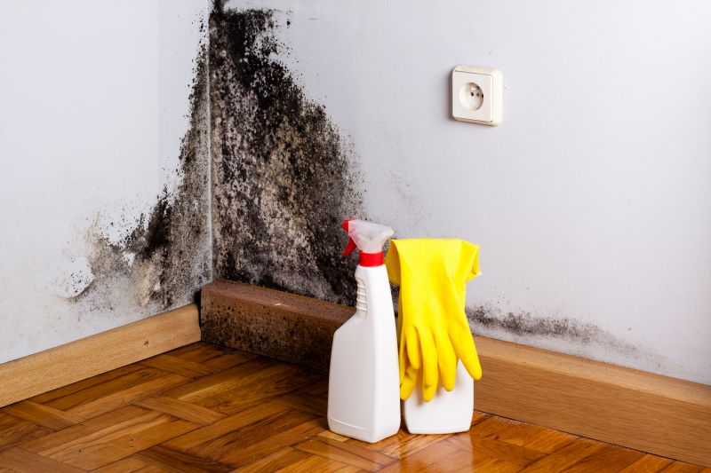 Mold Mitigation Service in Frisco, TX