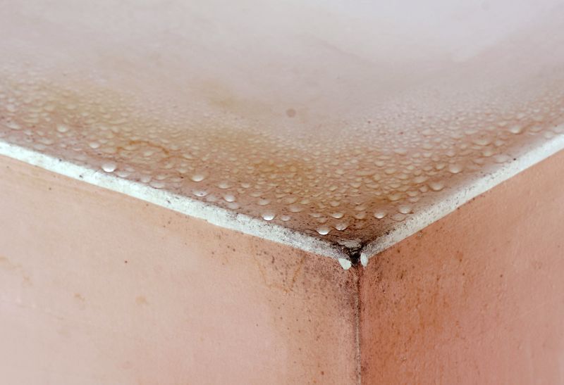Mold Mitigation Service in Jupiter, FL