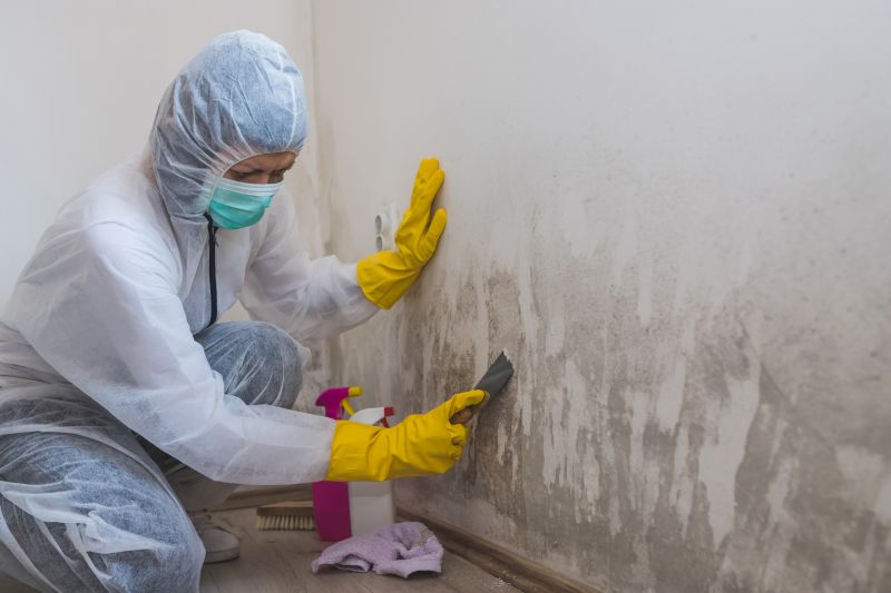 Mold Mitigation Service in Essex County, NJ