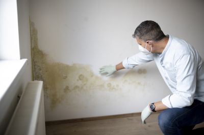 Mold Remediation Service in Jupiter, FL