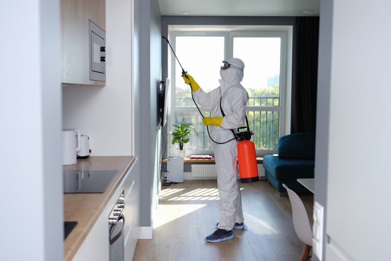 Mold Removal in Jupiter, FL