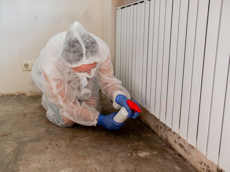 Mold Restoration in Boca Raton, FL
