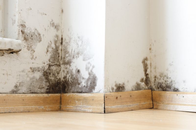 Mold Restoration in Fort Worth, TX