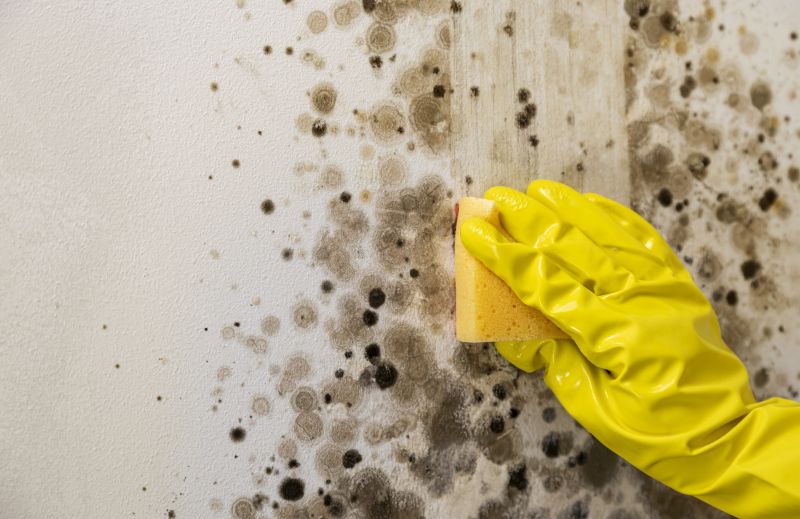 Mold Restoration in Fort Worth, TX
