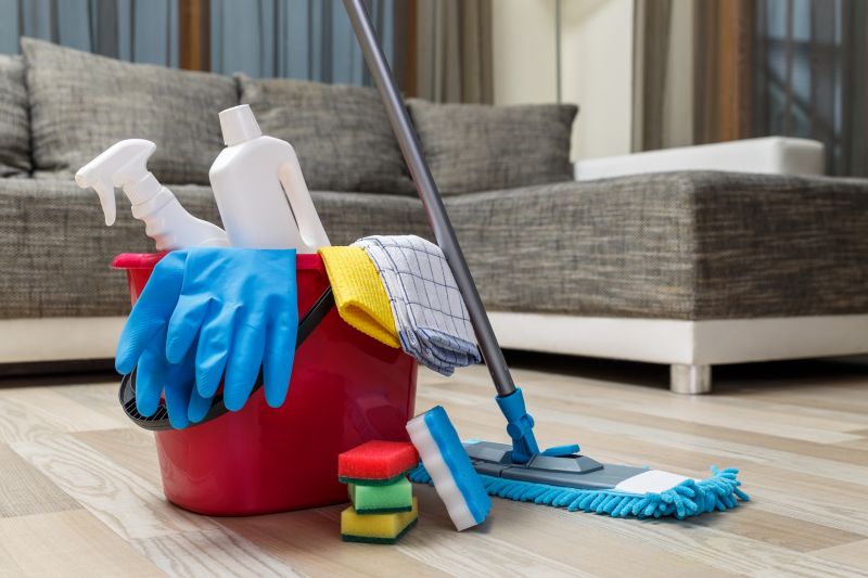 Reo Property Cleaning in Renton, WA