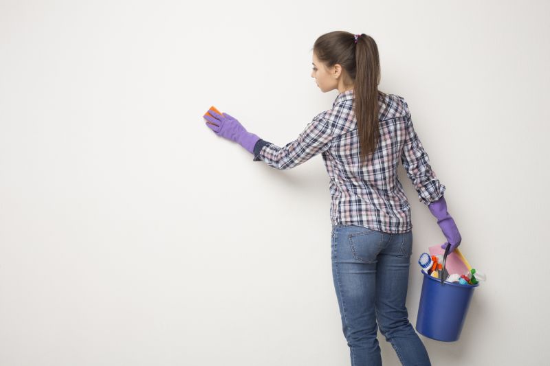 Wall Cleaning Service