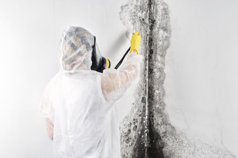 White Mold Mitigation in Bergen County, NJ